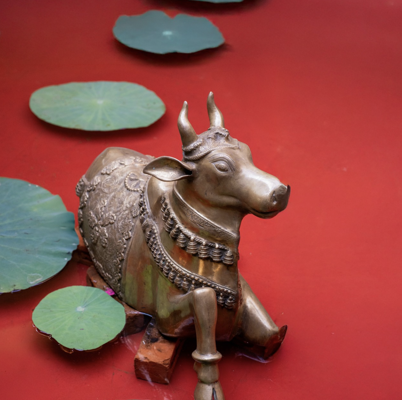 Screenshot 2025-09-29 at 5.15